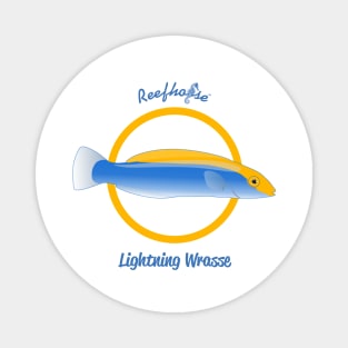 Lightning Wrasse Magnet